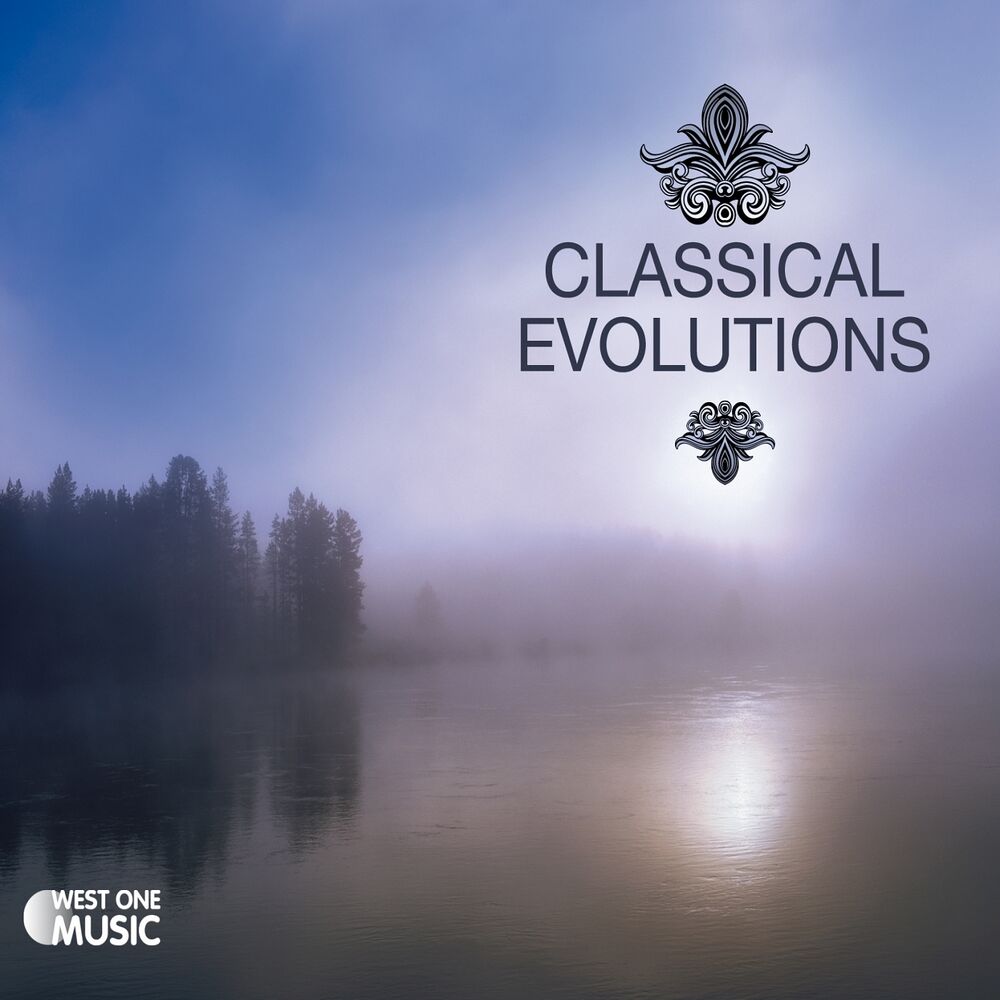 Picture of Classical Evolutions