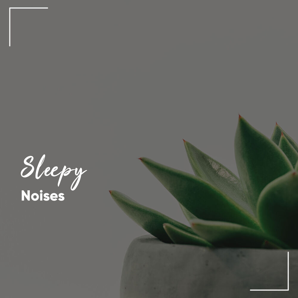 Picture of #13 Sleepy Noises for Zen Spa