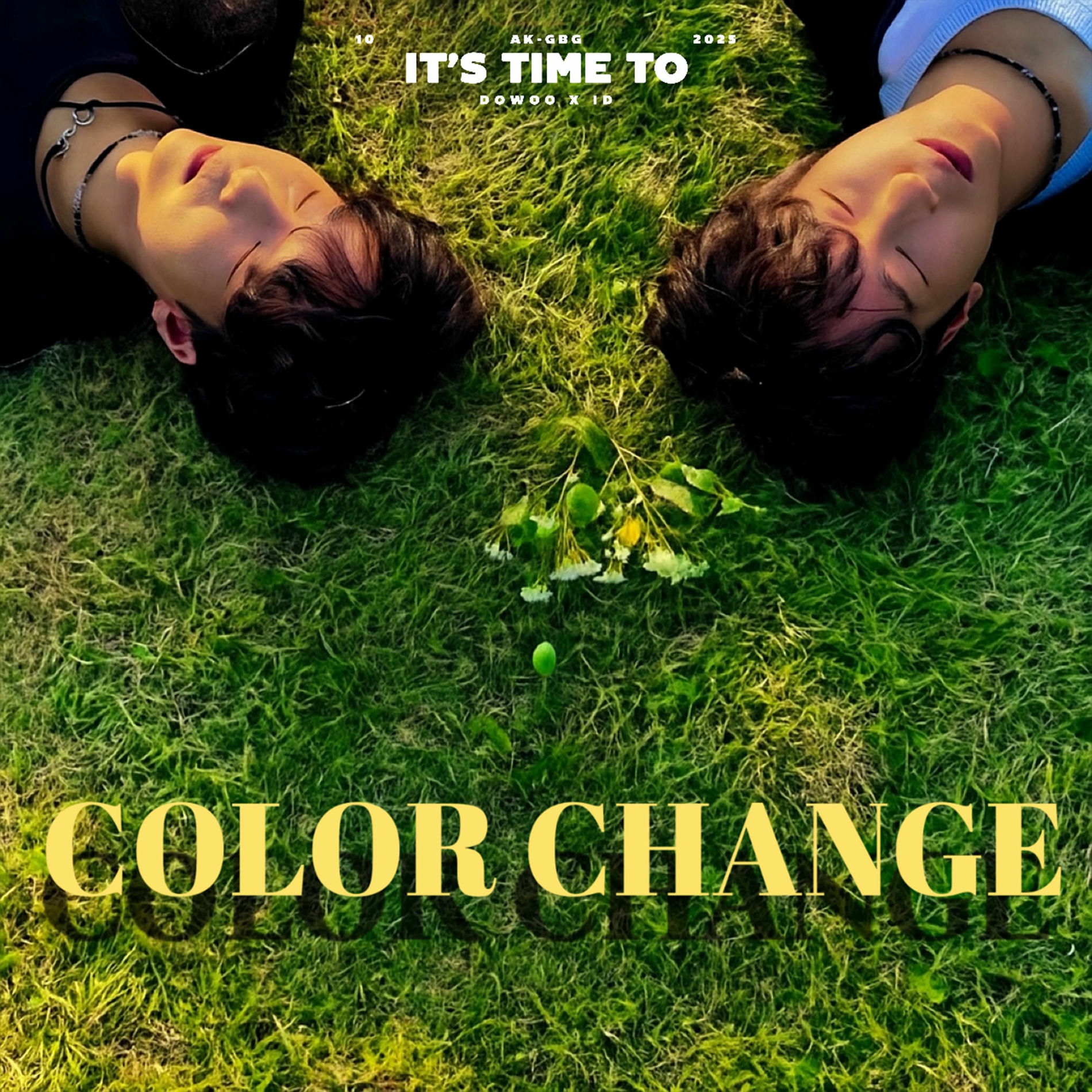 Album cover of Color Change