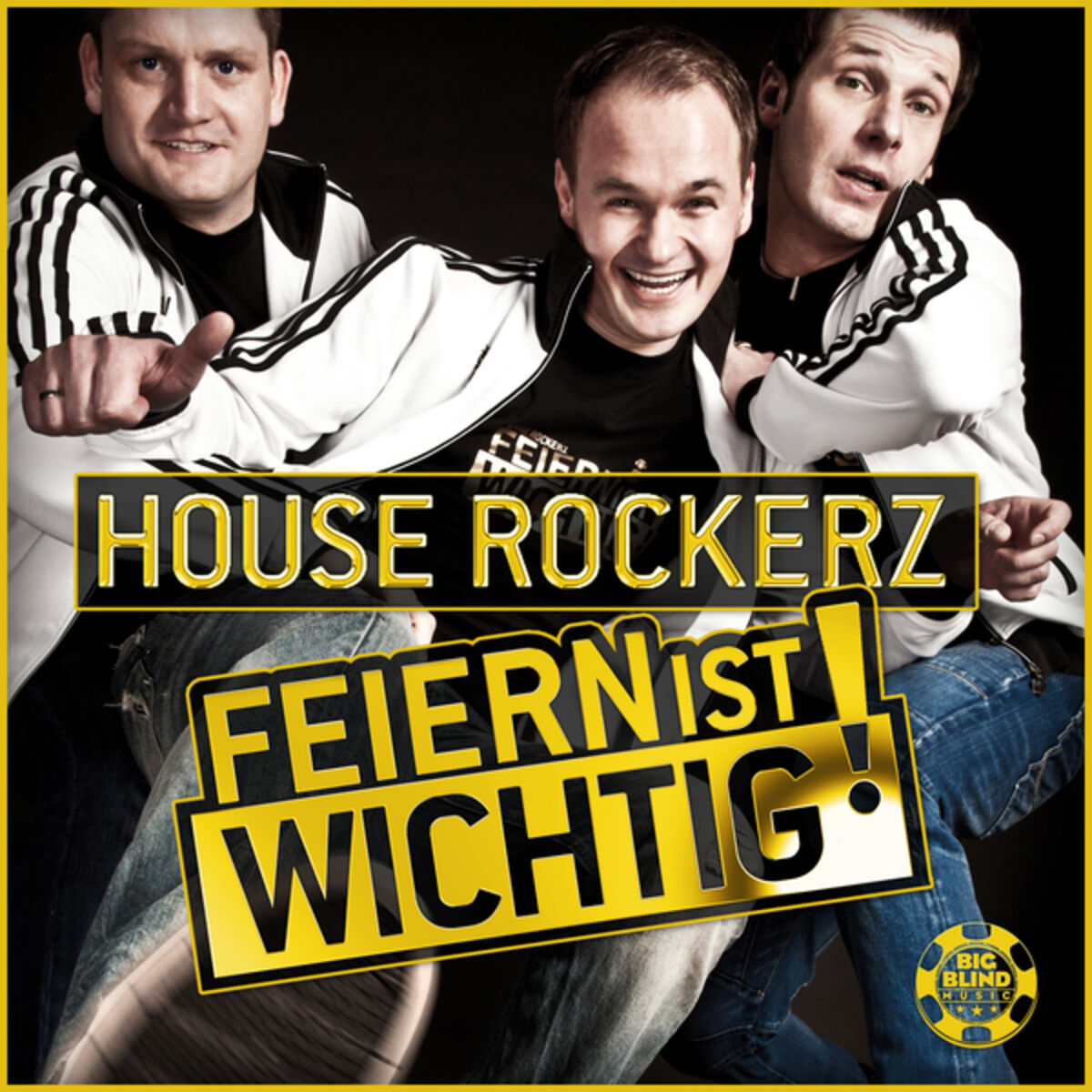Album cover of Feiern ist wichtig/ Party is basic