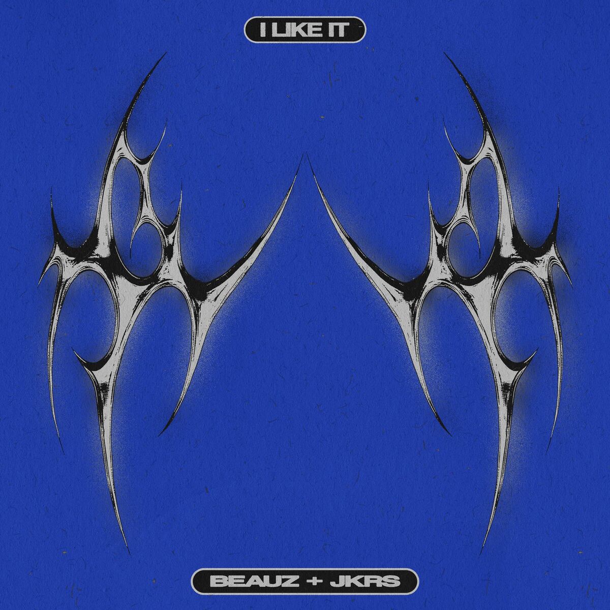 Album cover of I Like It
