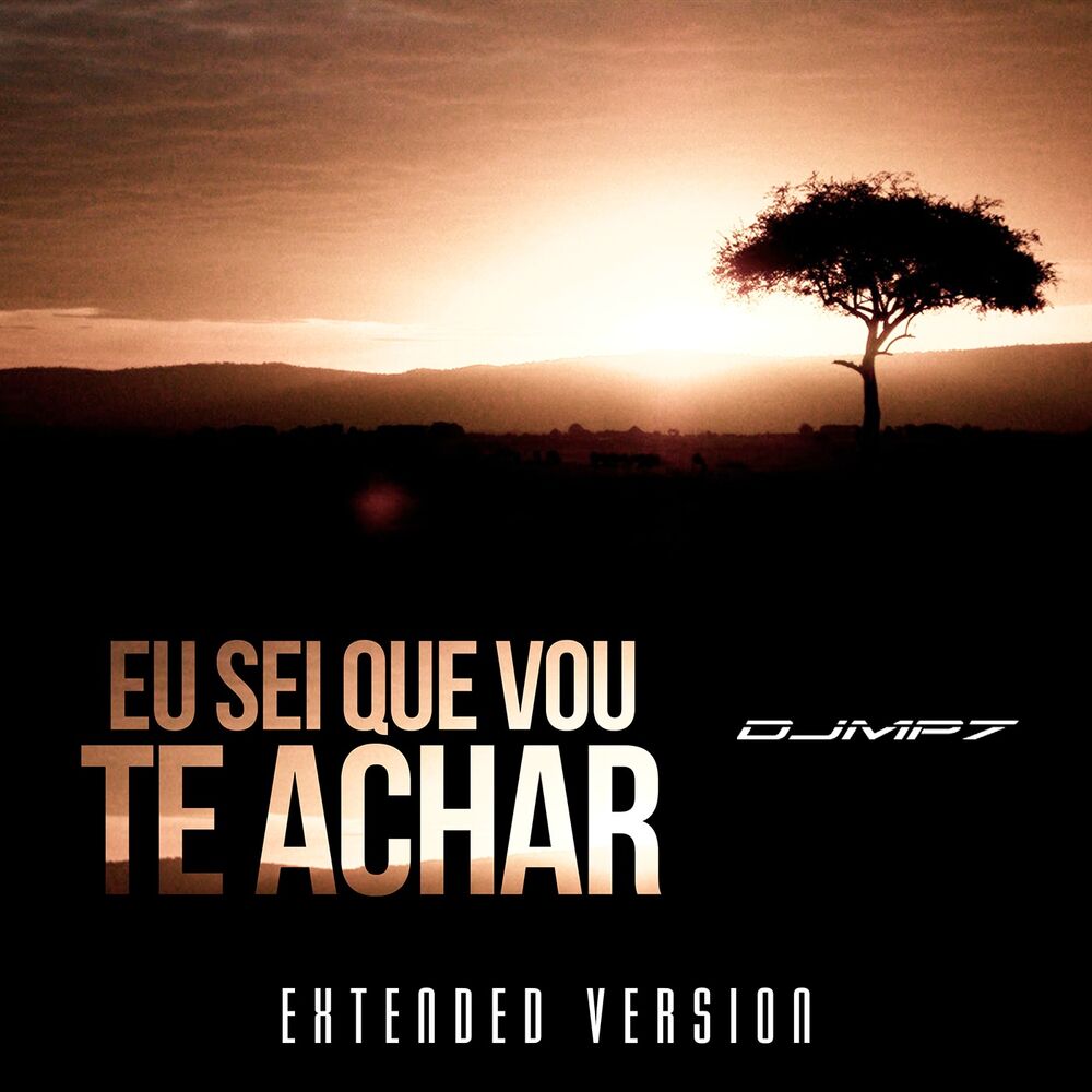 Picture of Eu Sei Que Vou Te Achar (Extended)