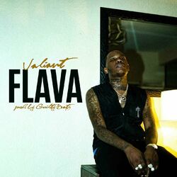 Cover of Flava