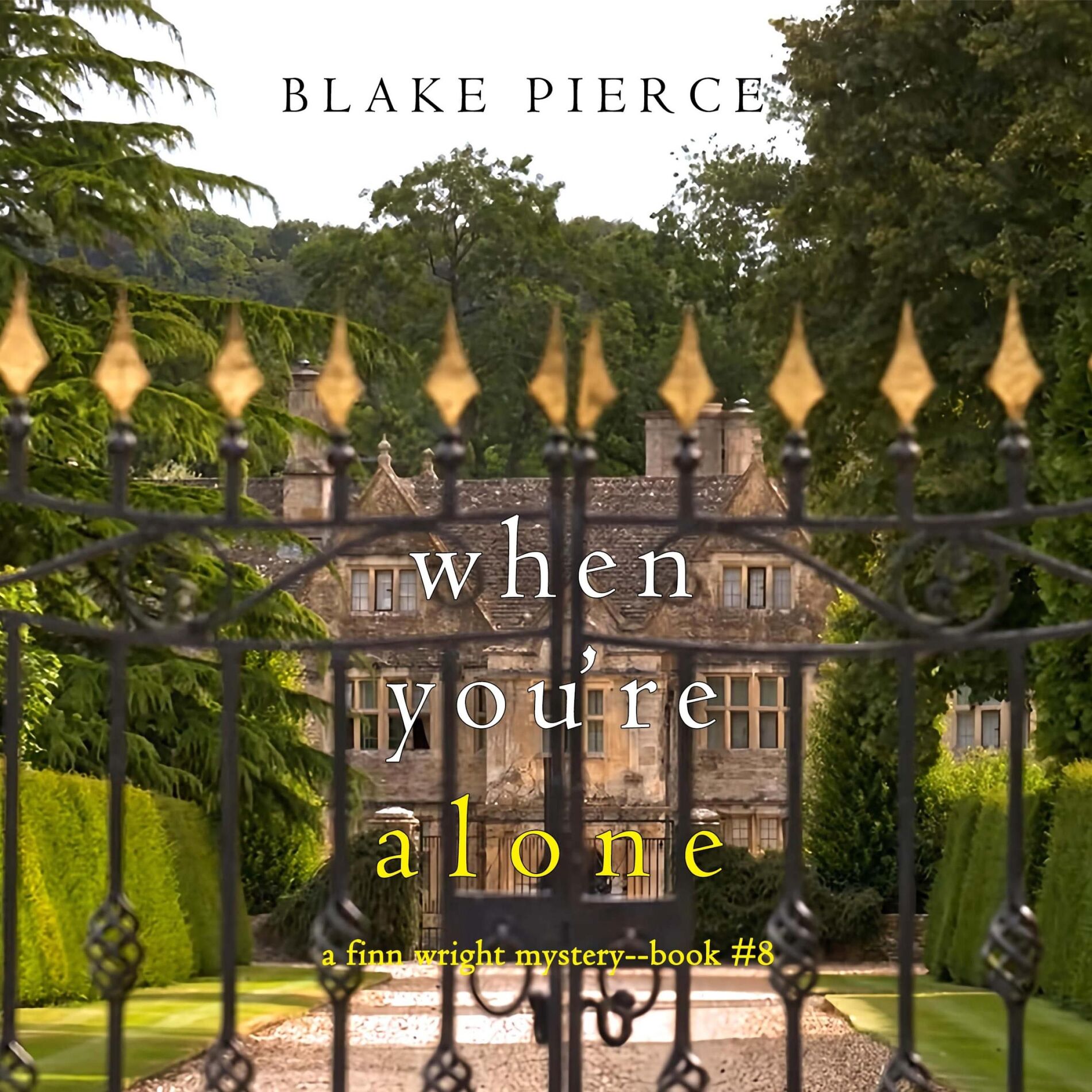 Album cover of When You're Alone (A Finn Wright FBI Mystery—Book Eight)