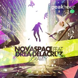 Cover of Gravity