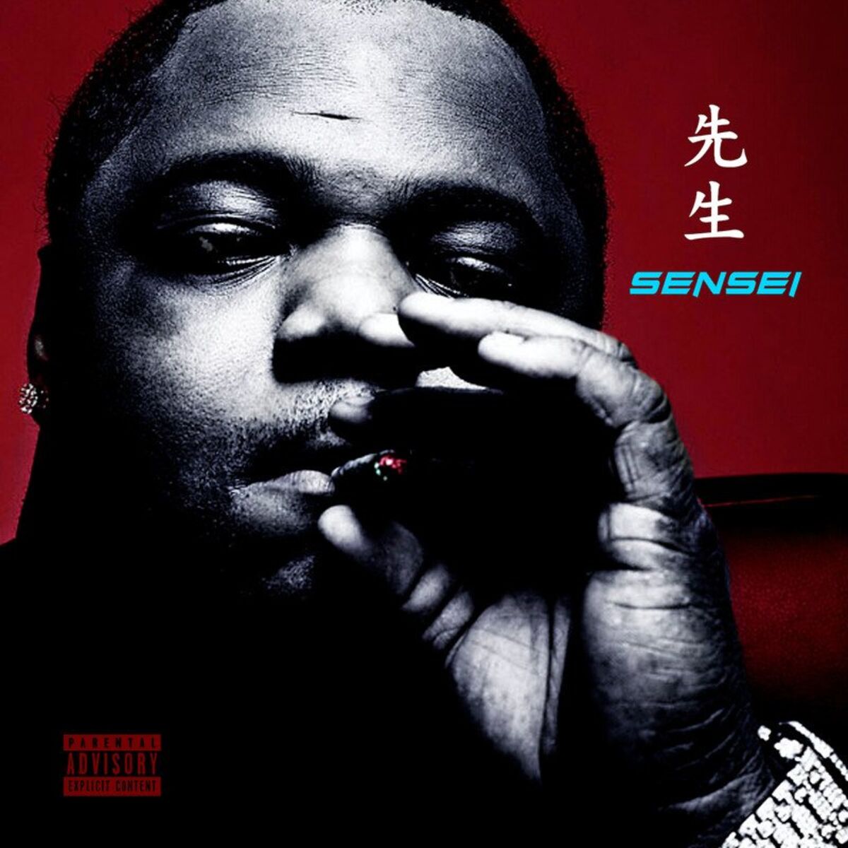 Album cover of Sensei