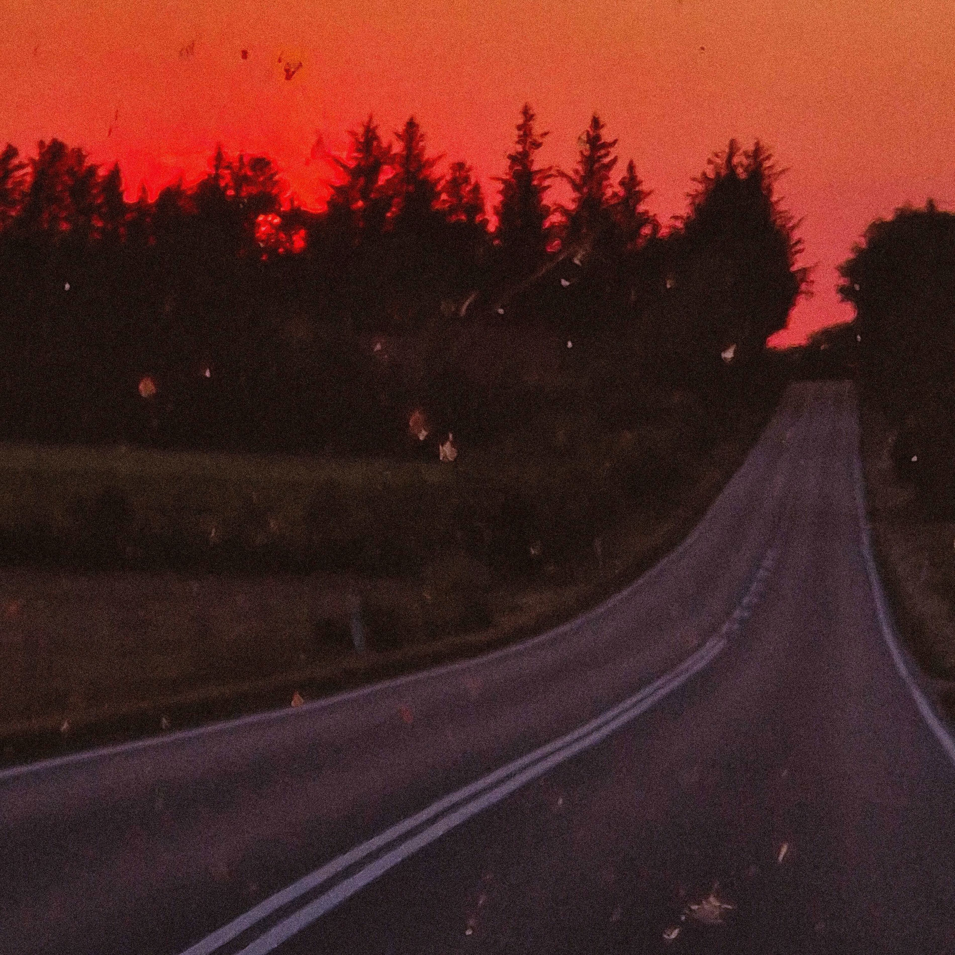 Album cover of Wir waren frei