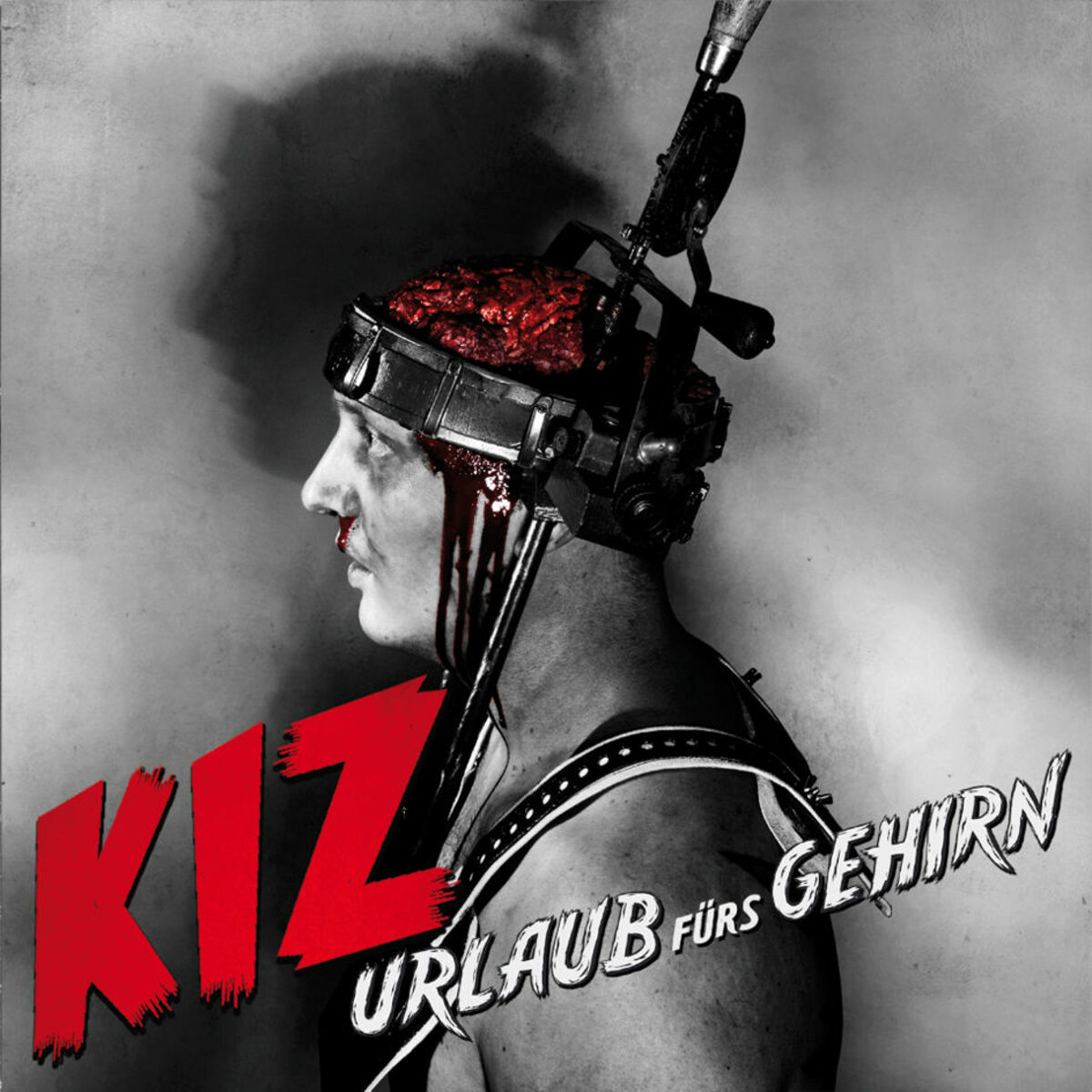 Album cover of Küss mir den Schwanz