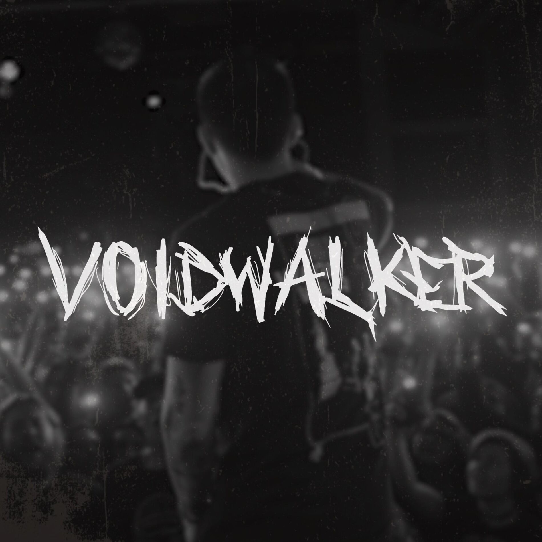 Album cover of Voidwalker