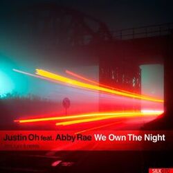 Cover of We Own the Night