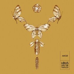 Cover of Amigo