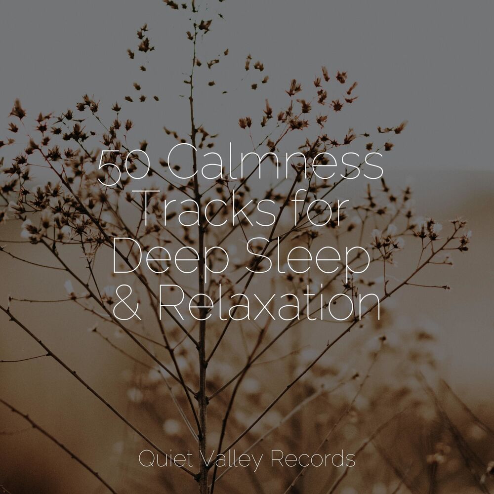 Picture of 50 Calmness Tracks for Deep Sleep & Relaxation