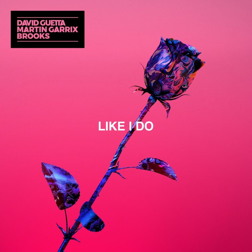 Picture of Like I Do