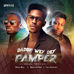Cover of Daddy Wey Dey Pamper (Gbedu Version)