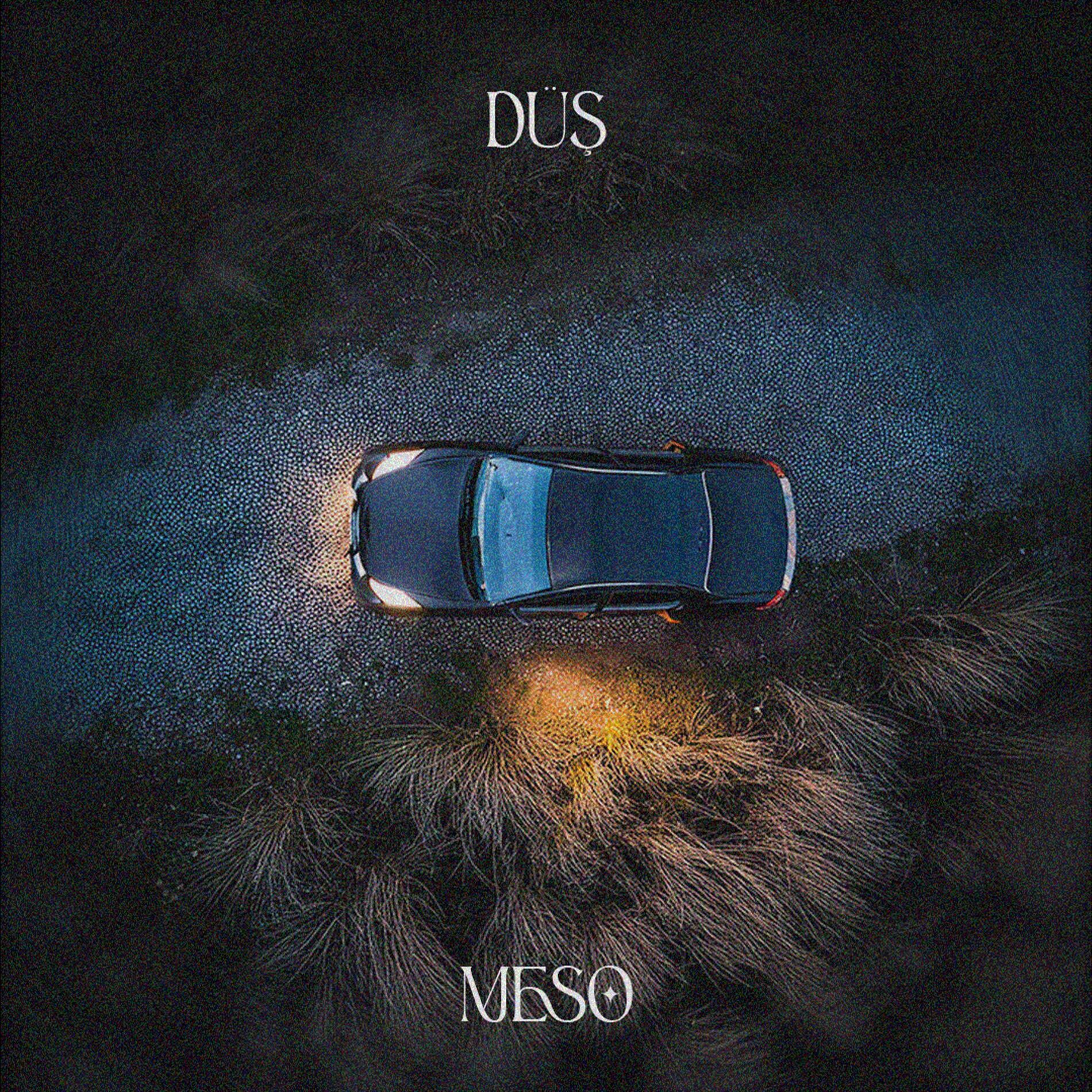 Album cover of DÜŞ