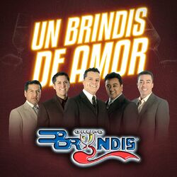 Cover of Un Brindis De Amor
