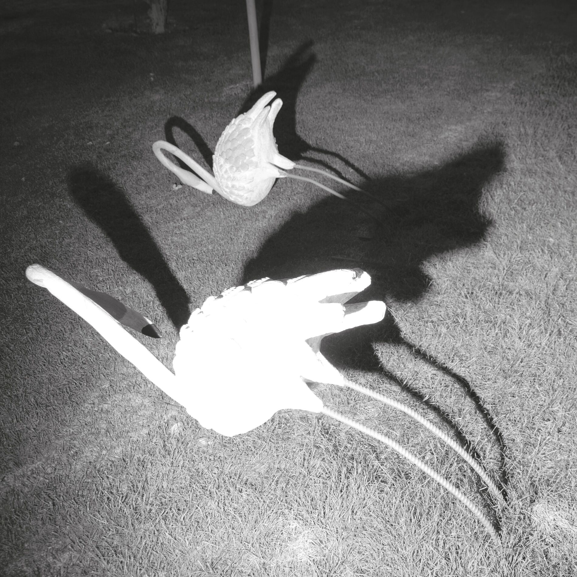 Album cover of A Mimesis of Nothingness