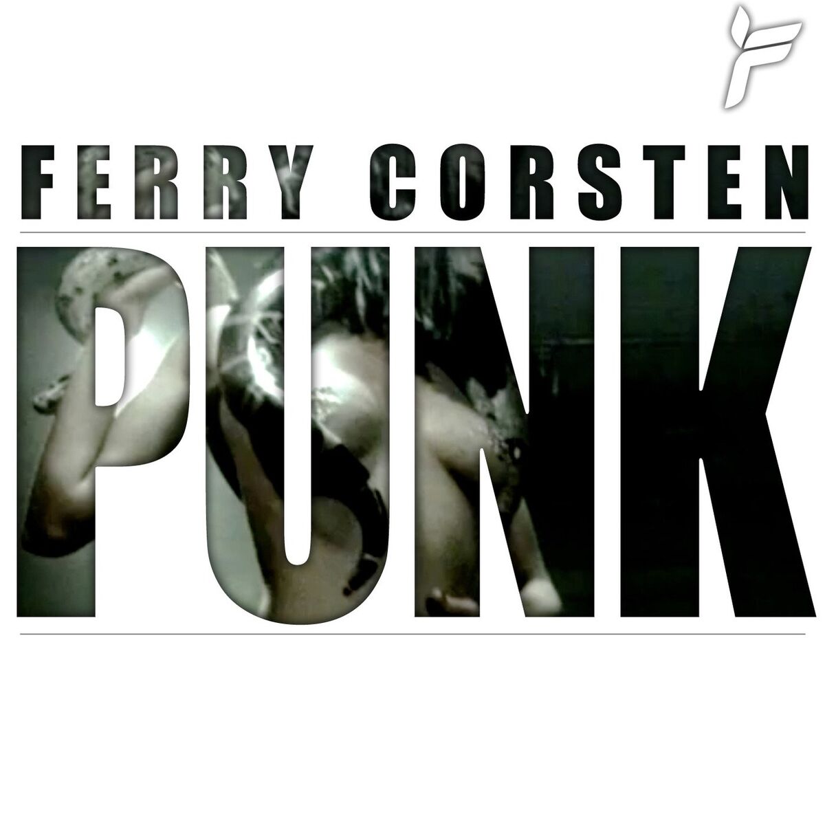 Album cover of Punk