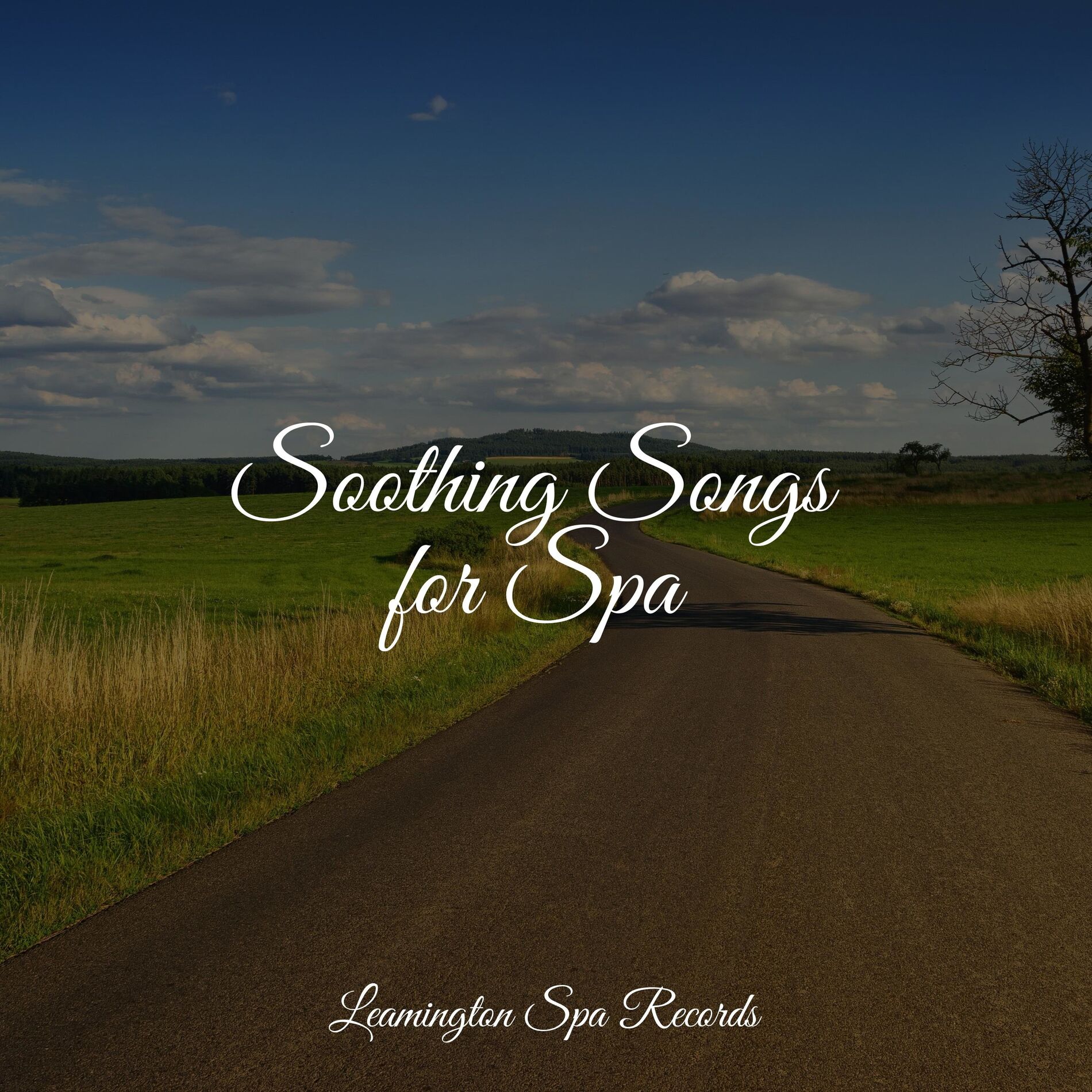 Album cover of Soothing Songs for Spa