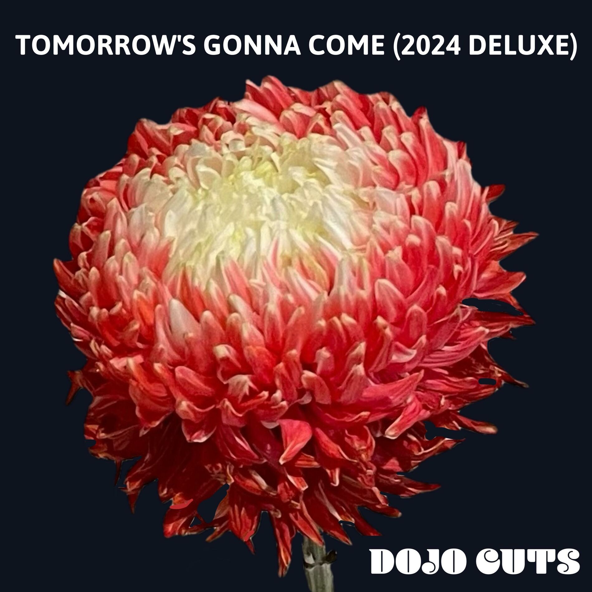 Album cover of Rome (Deluxe LP Version)