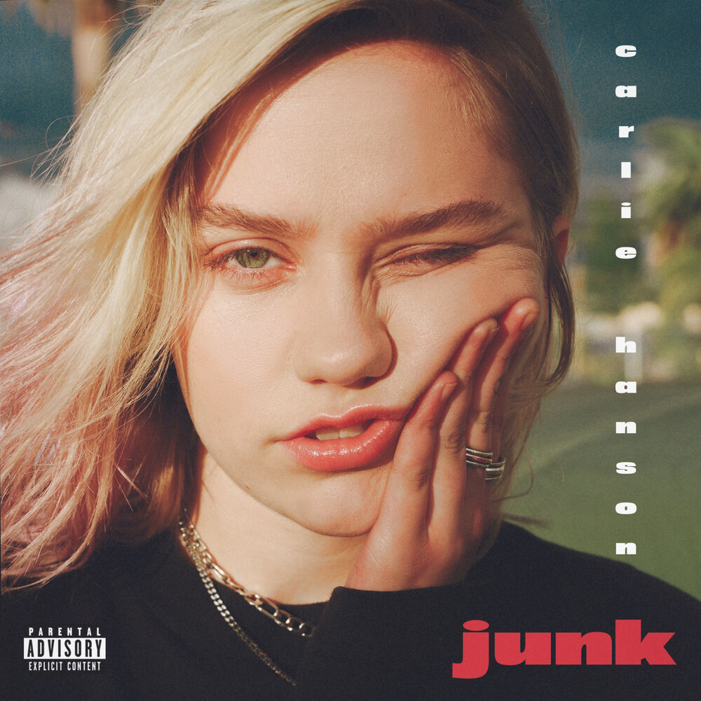 Picture of Junk