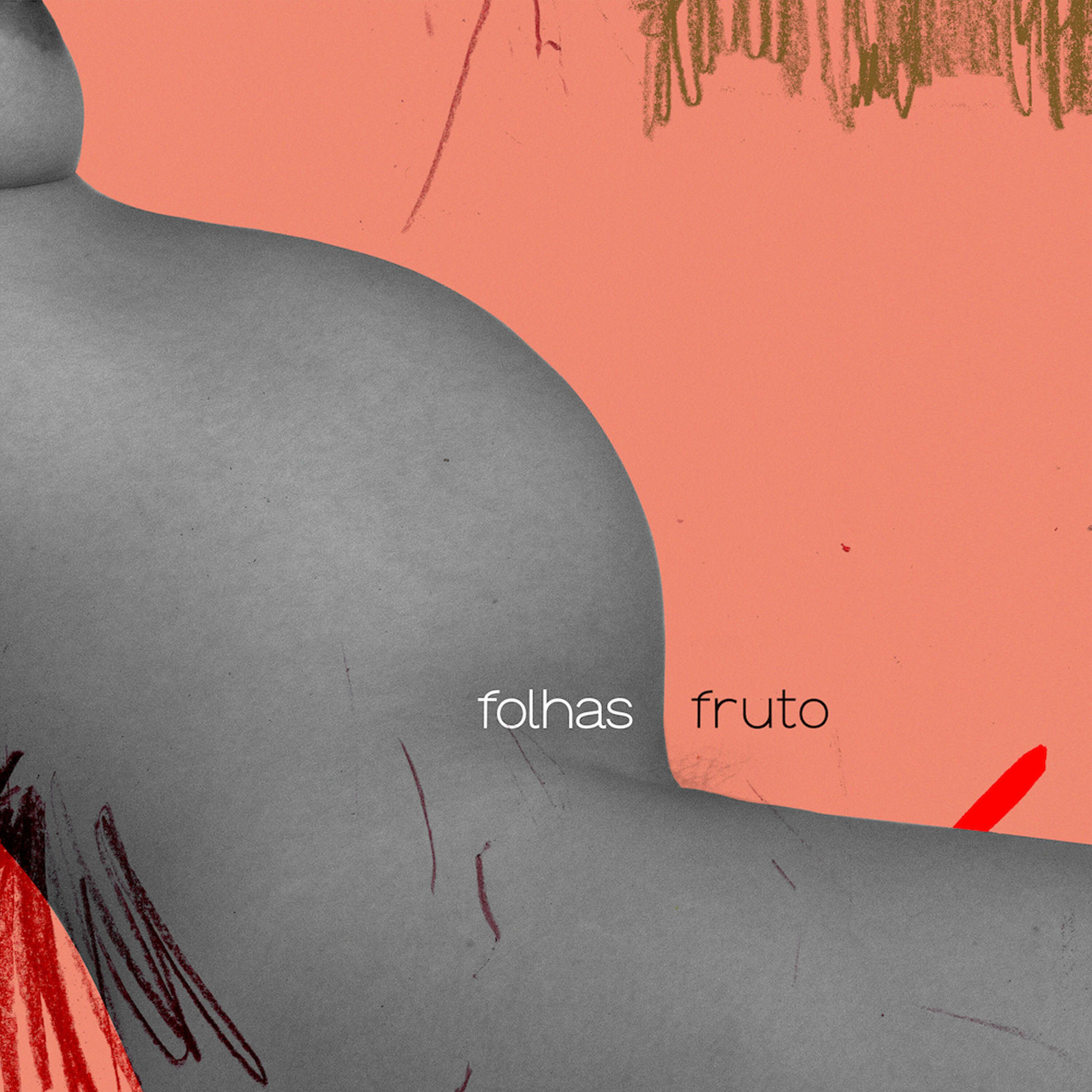 Album cover of folhas_fruto