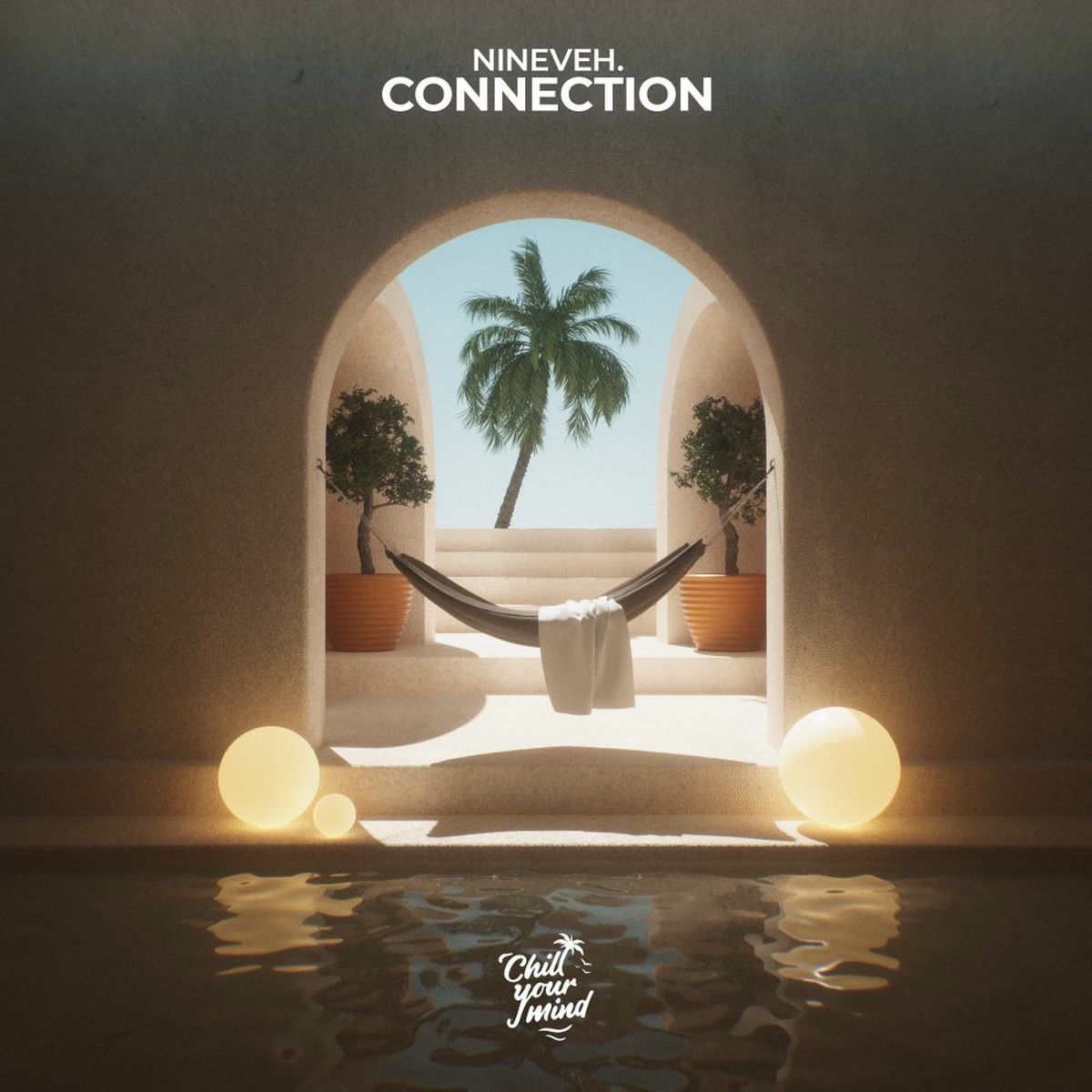 Album cover of connection
