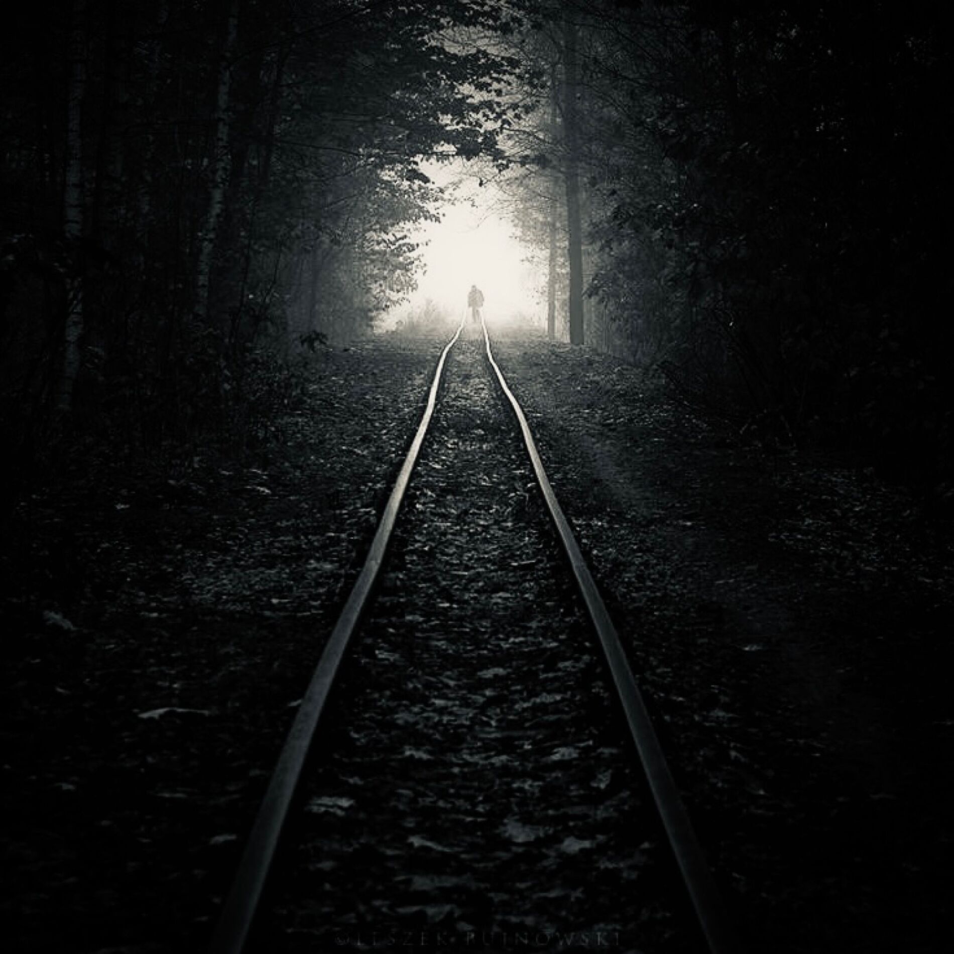 Album cover of Desolation du paysage