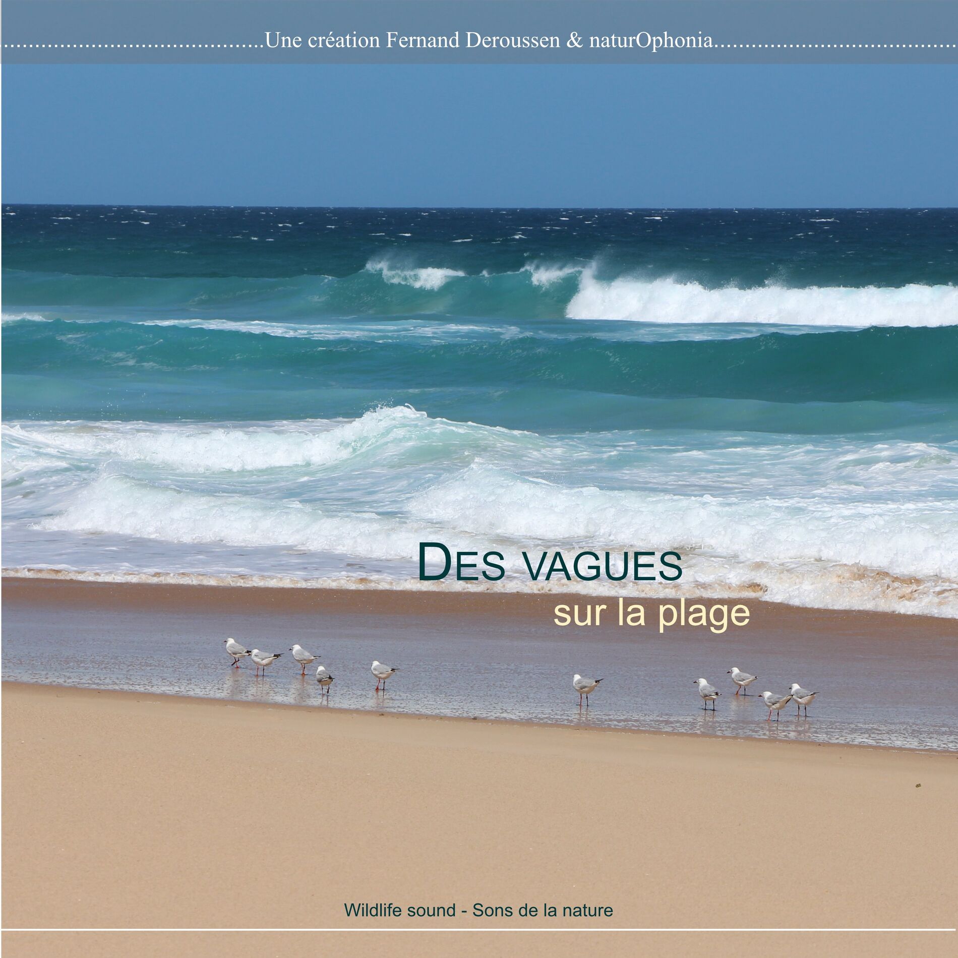Album cover of Naturophonia: Des vagues sur la plage