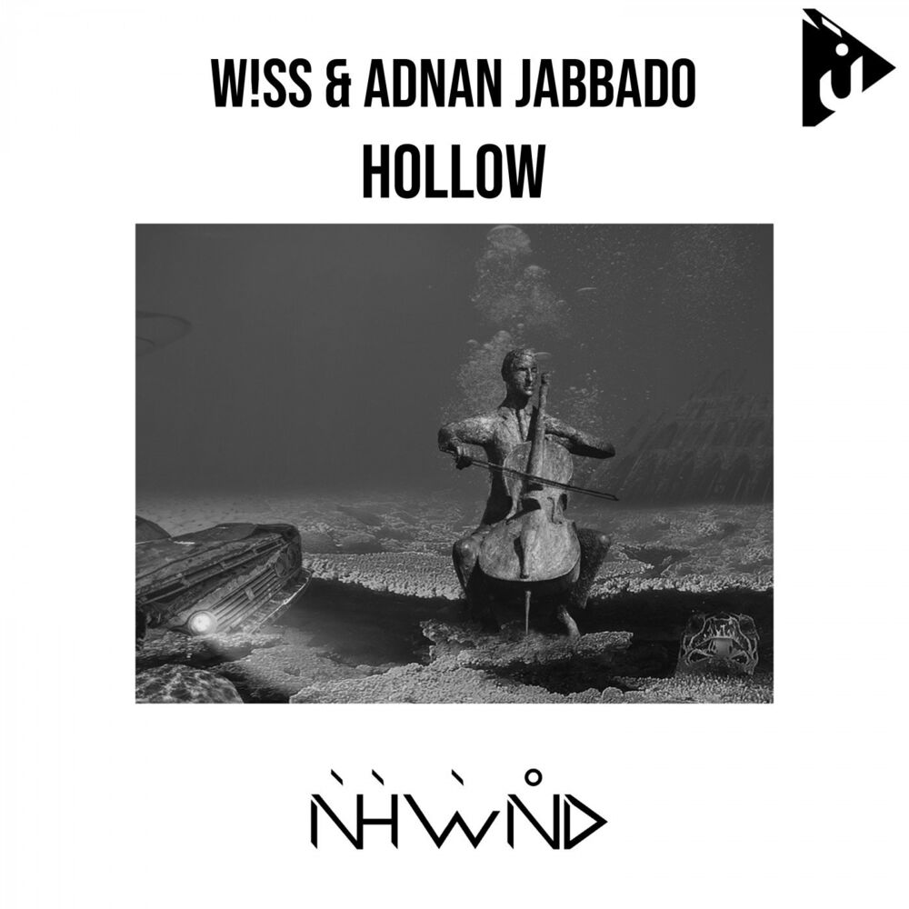 Picture of Hollow