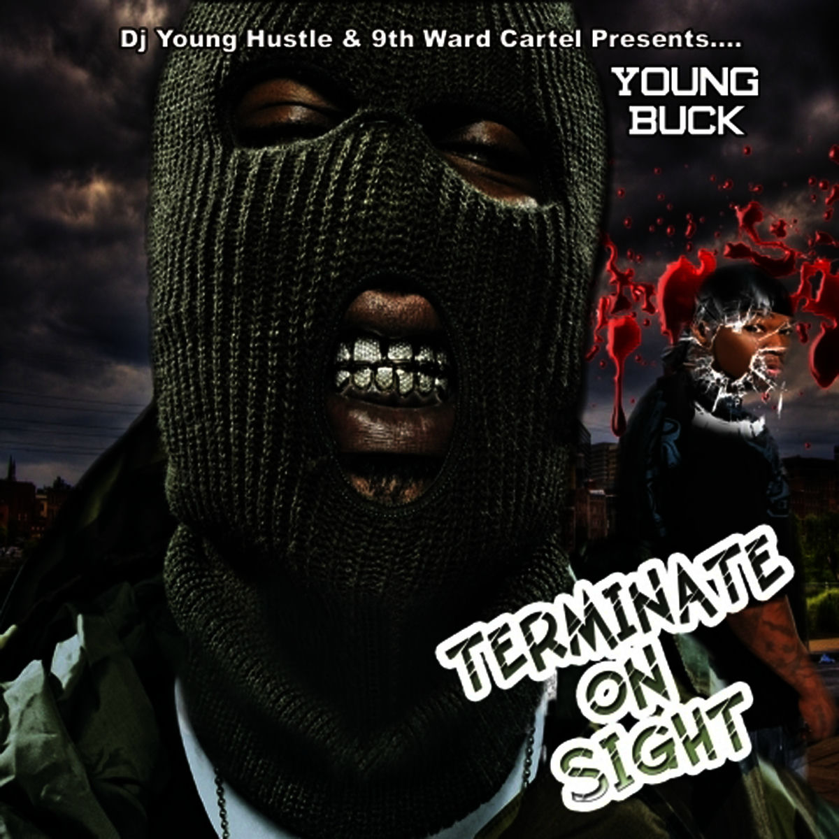 Album cover of Terminate On Sight