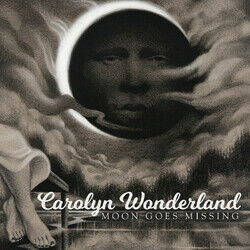 Cover of Moon Goes Missing