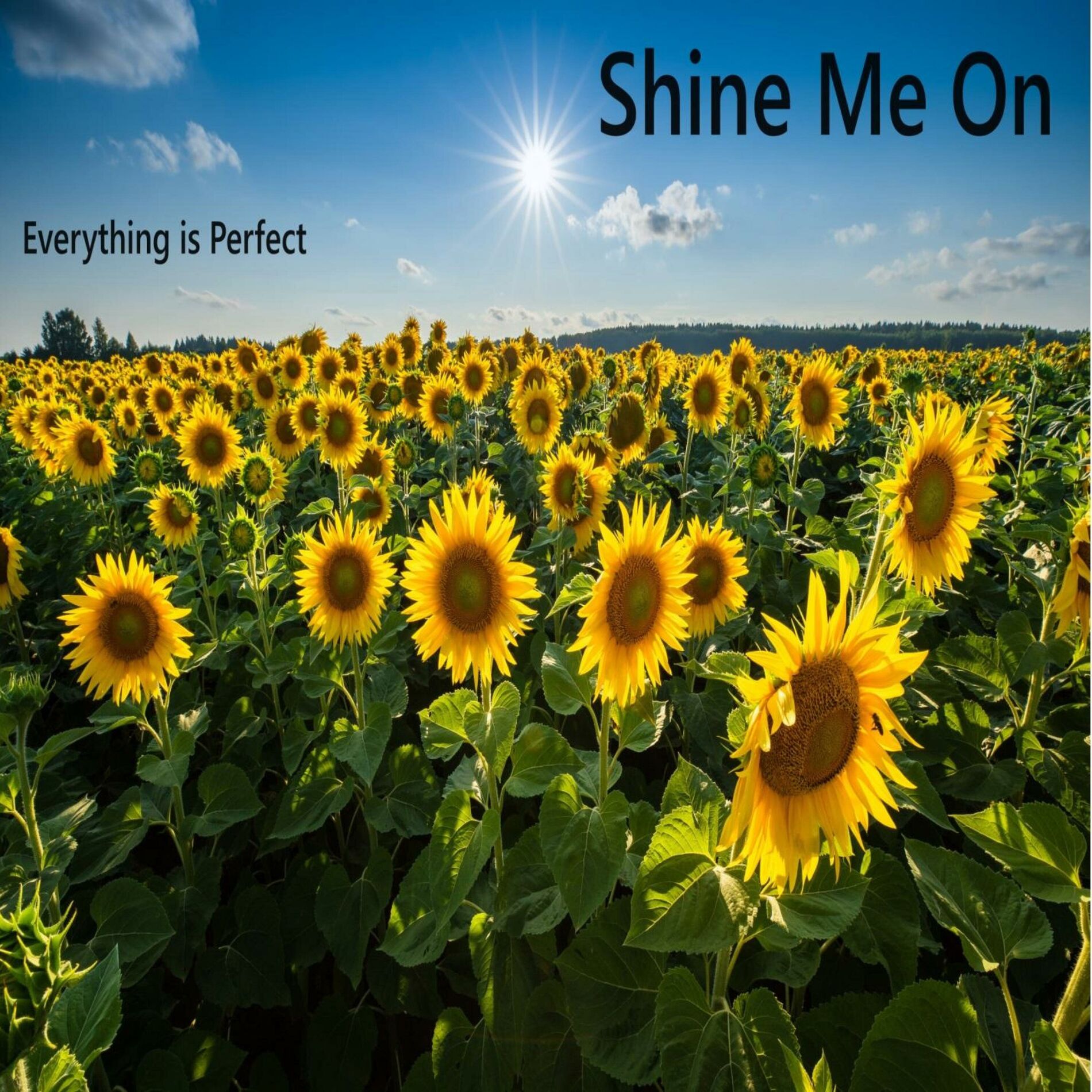 Album cover of Shine Me On (Everything is Perfect) (feat. Aaron Hall & Allison Littlejohn)