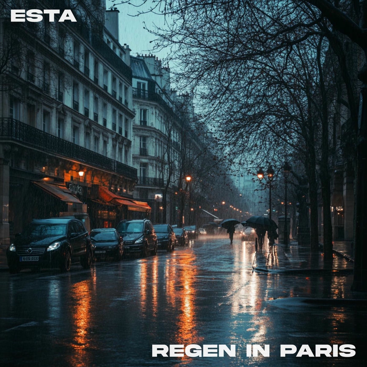 Album cover of Regen in Paris (losing my mind)