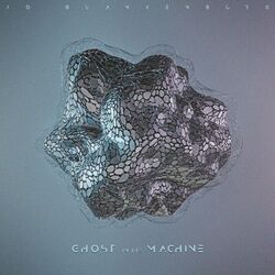 Cover of Ghost in the Machine
