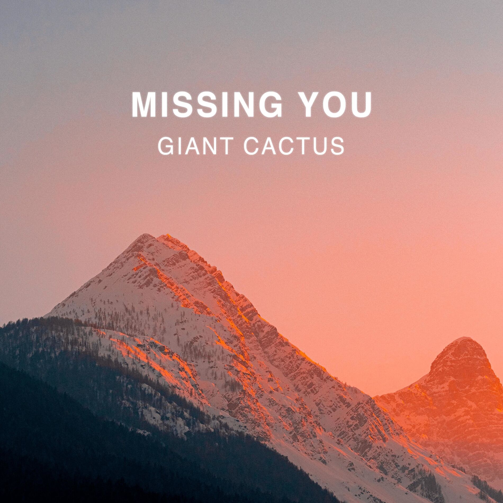 Album cover of missing you
