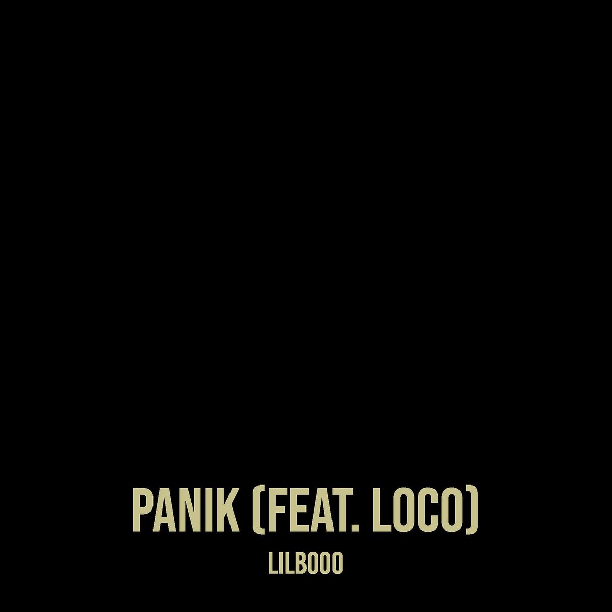 Album cover of Panik