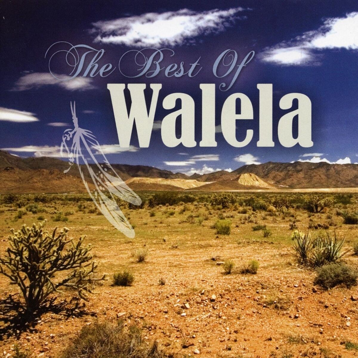 Album cover of Best Of Walela