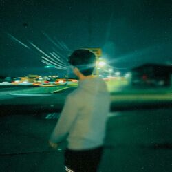 Cover of PARTY NEVER ENDS