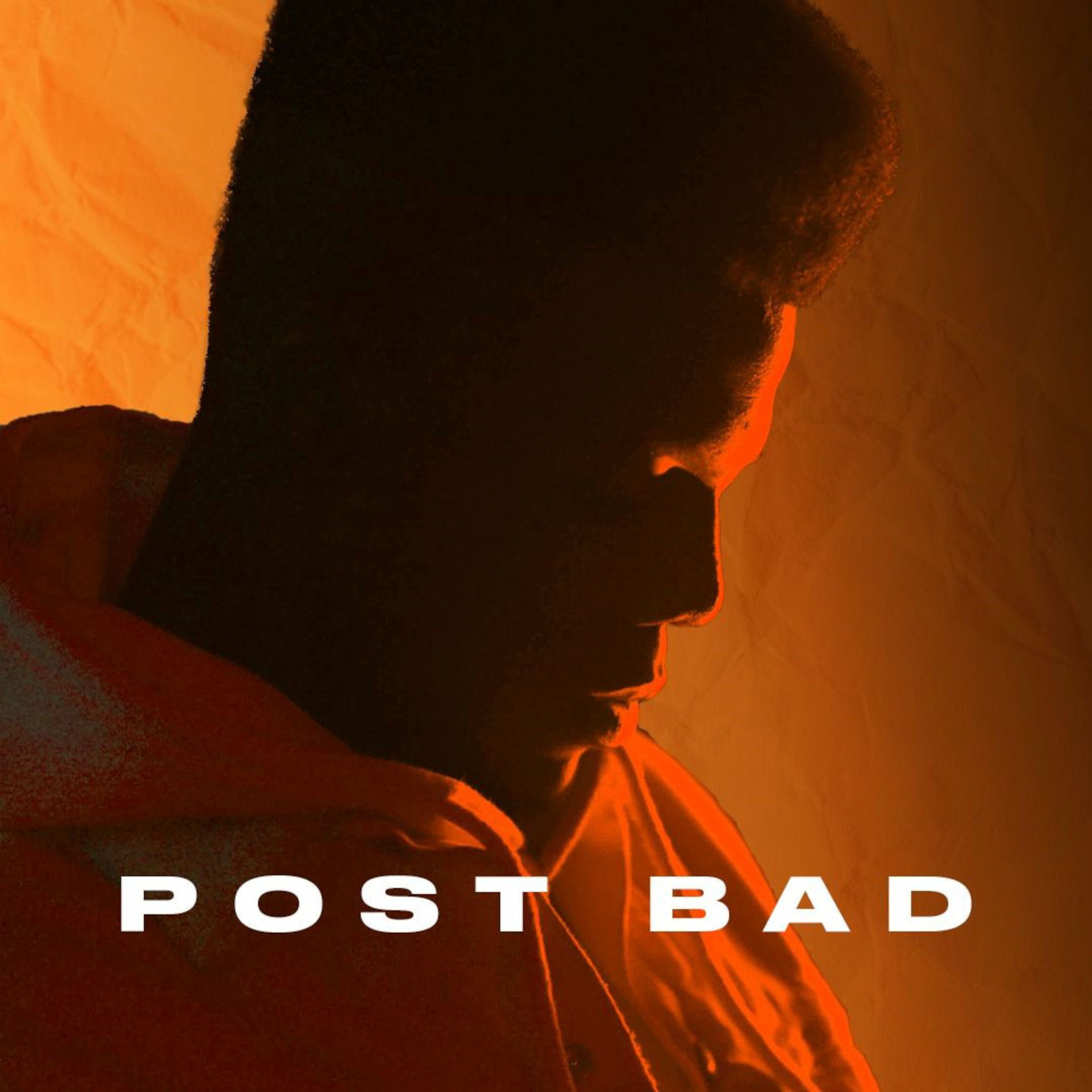 Album cover of Post-Bad