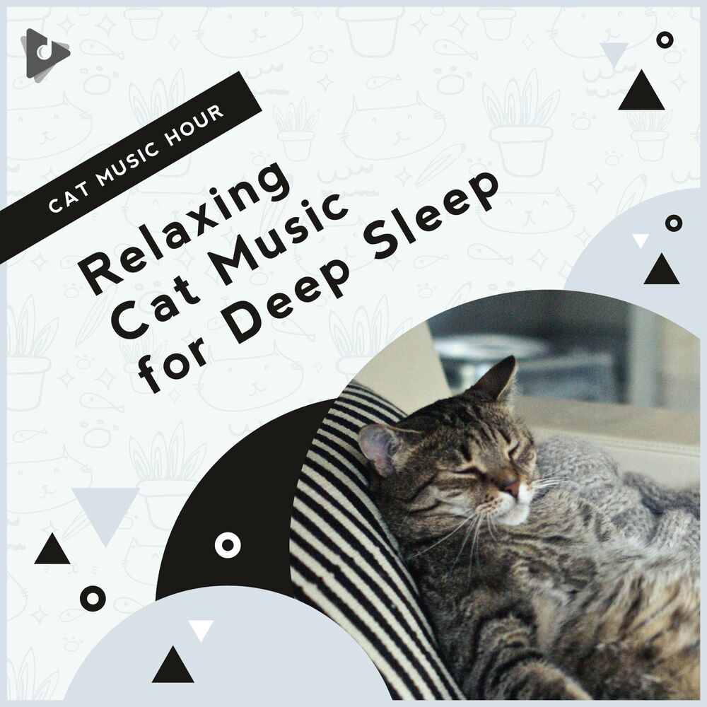 Picture of Relaxing Cat Music for Deep Sleep
