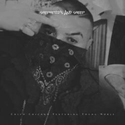Cover of Shepherd's and Sheep