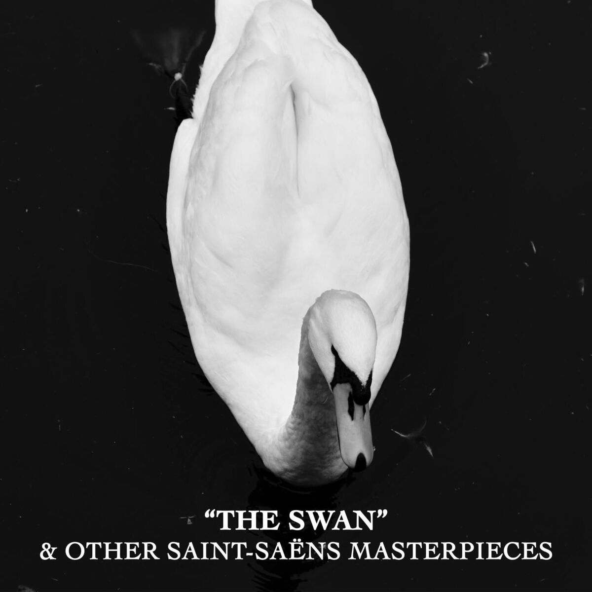 Album cover of 