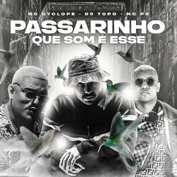 Cover of Passarinho Que Som É Esse