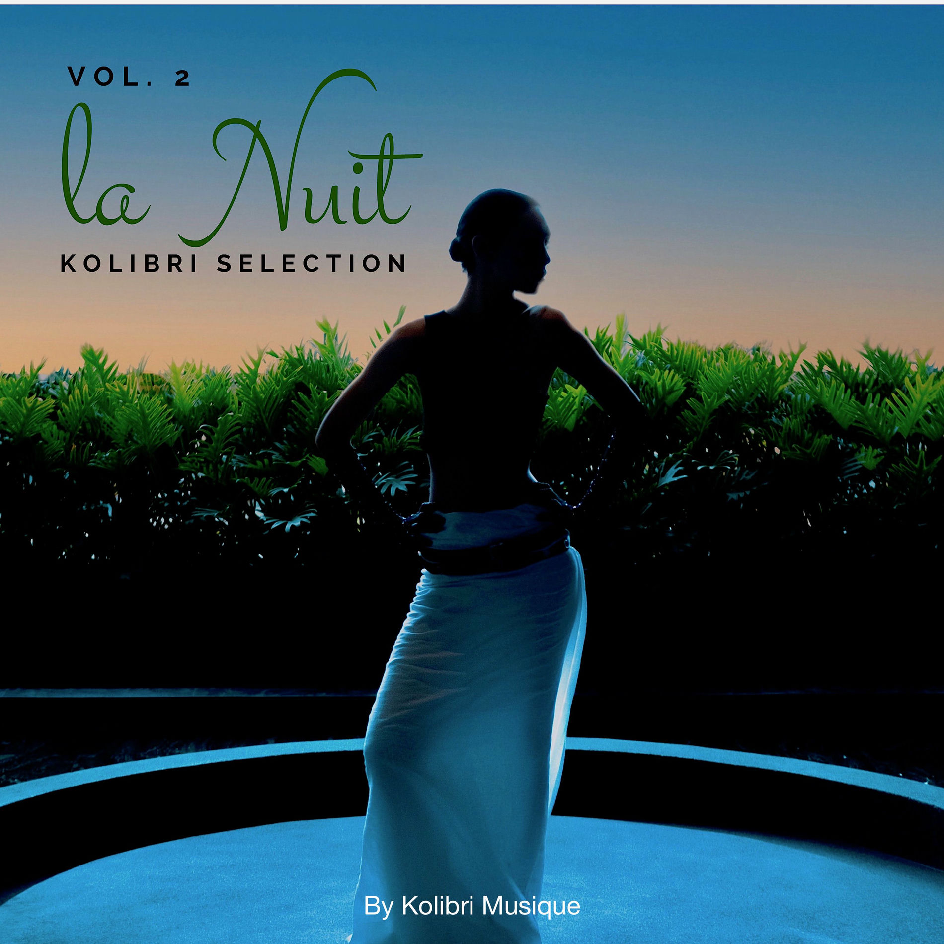 Album cover of Kolibri - La Nuit Selection, Vol. 2