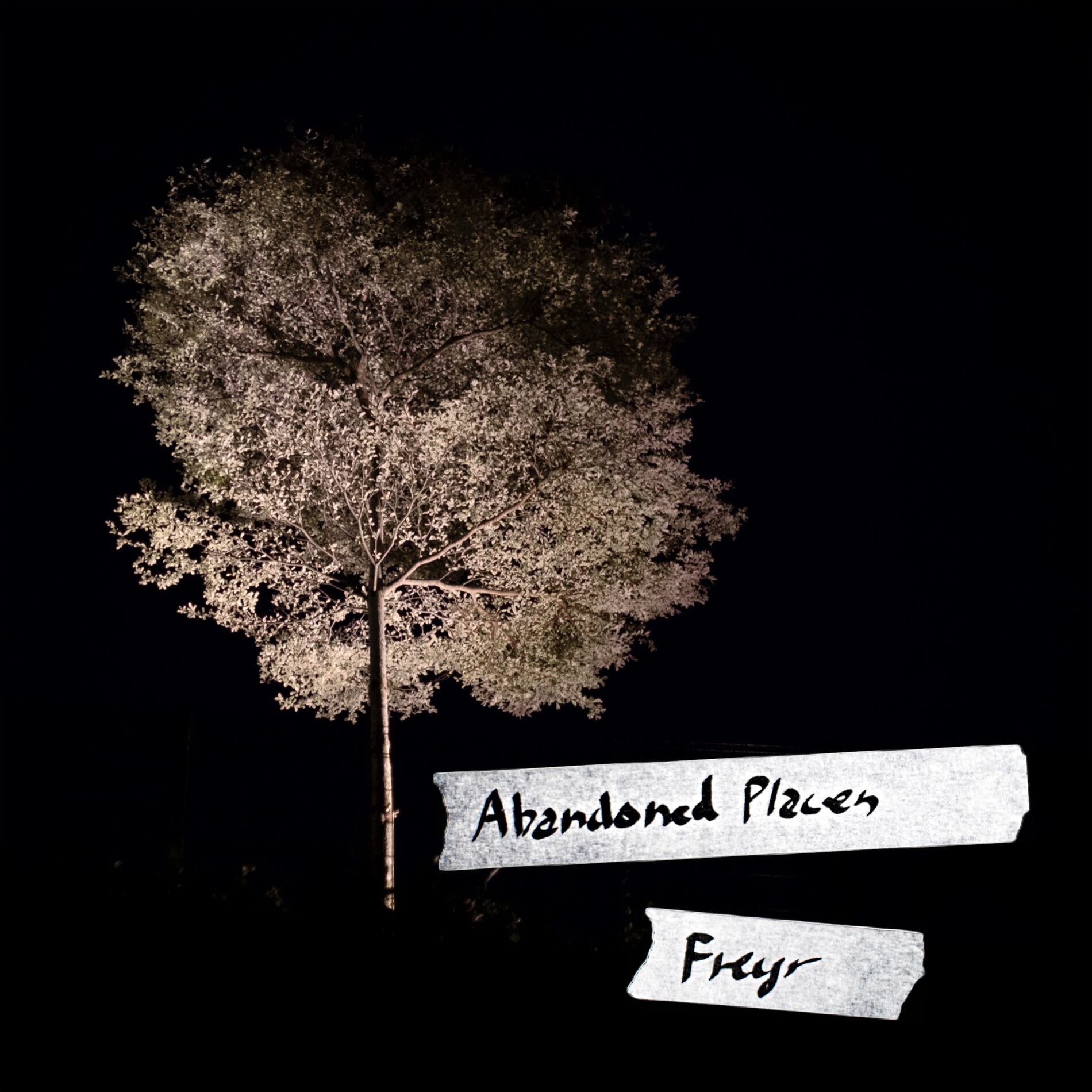 Album cover of Abandoned Places