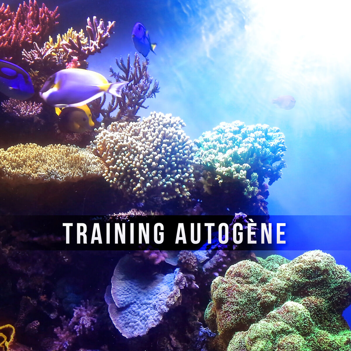 Album cover of Training autogène – Sophrologie, Réflexologie & Méditation avec sons de la nature et musique zen, Bien-être avec New Age