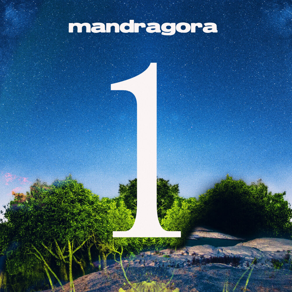 Picture of Disc 1