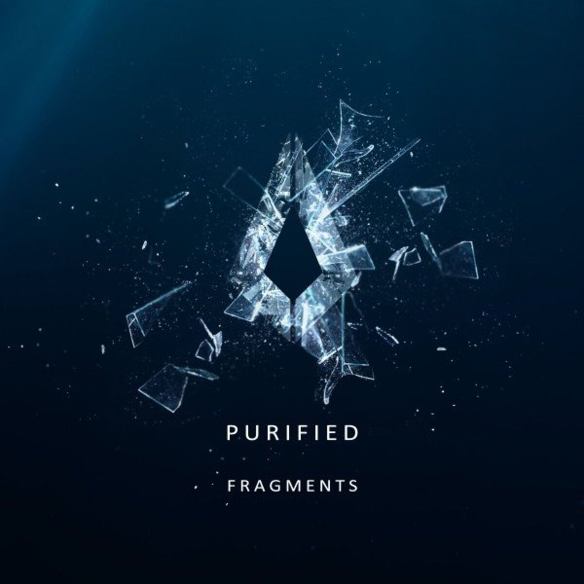 Album cover of Purified Fragments