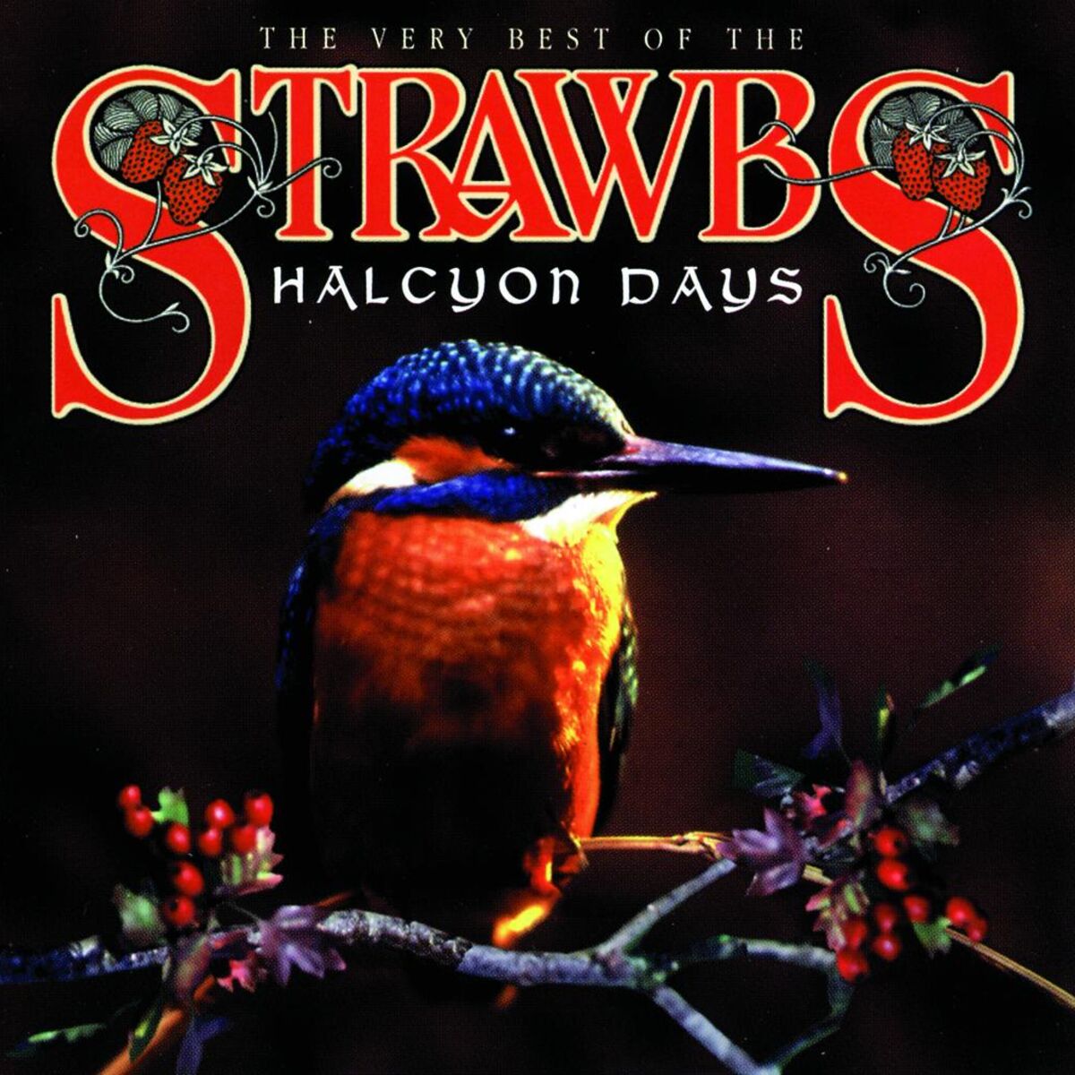 Album cover of Halcyon Days
